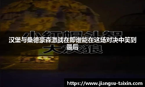 汉堡与桑德豪森激战在即谁能在这场对决中笑到最后