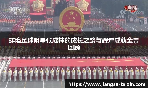 蚌埠足球明星张成林的成长之路与辉煌成就全景回顾